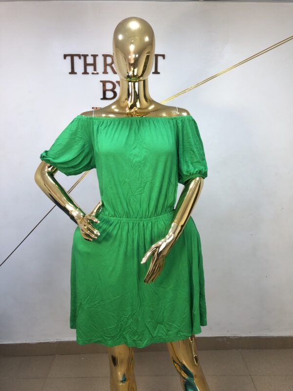 Polo Dress