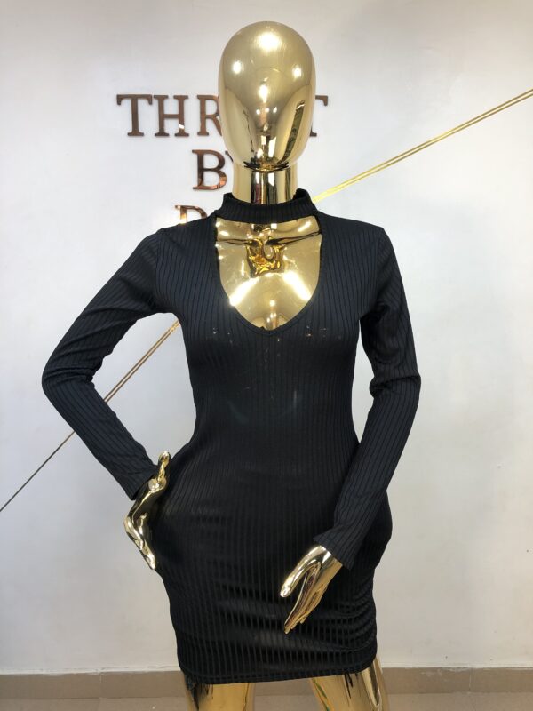 Polo Dress
