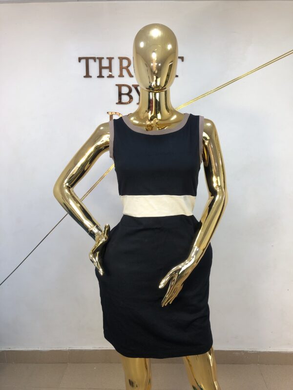Polo Dress
