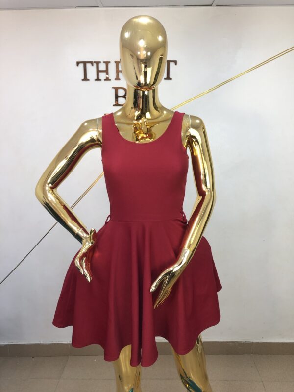 Polo Dress