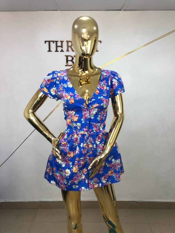 Polo Dress