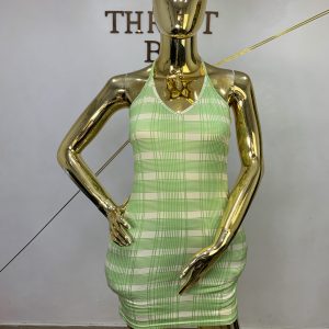 Polo Dress